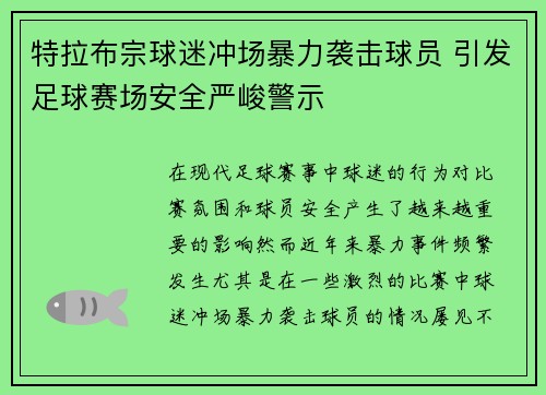 特拉布宗球迷冲场暴力袭击球员 引发足球赛场安全严峻警示